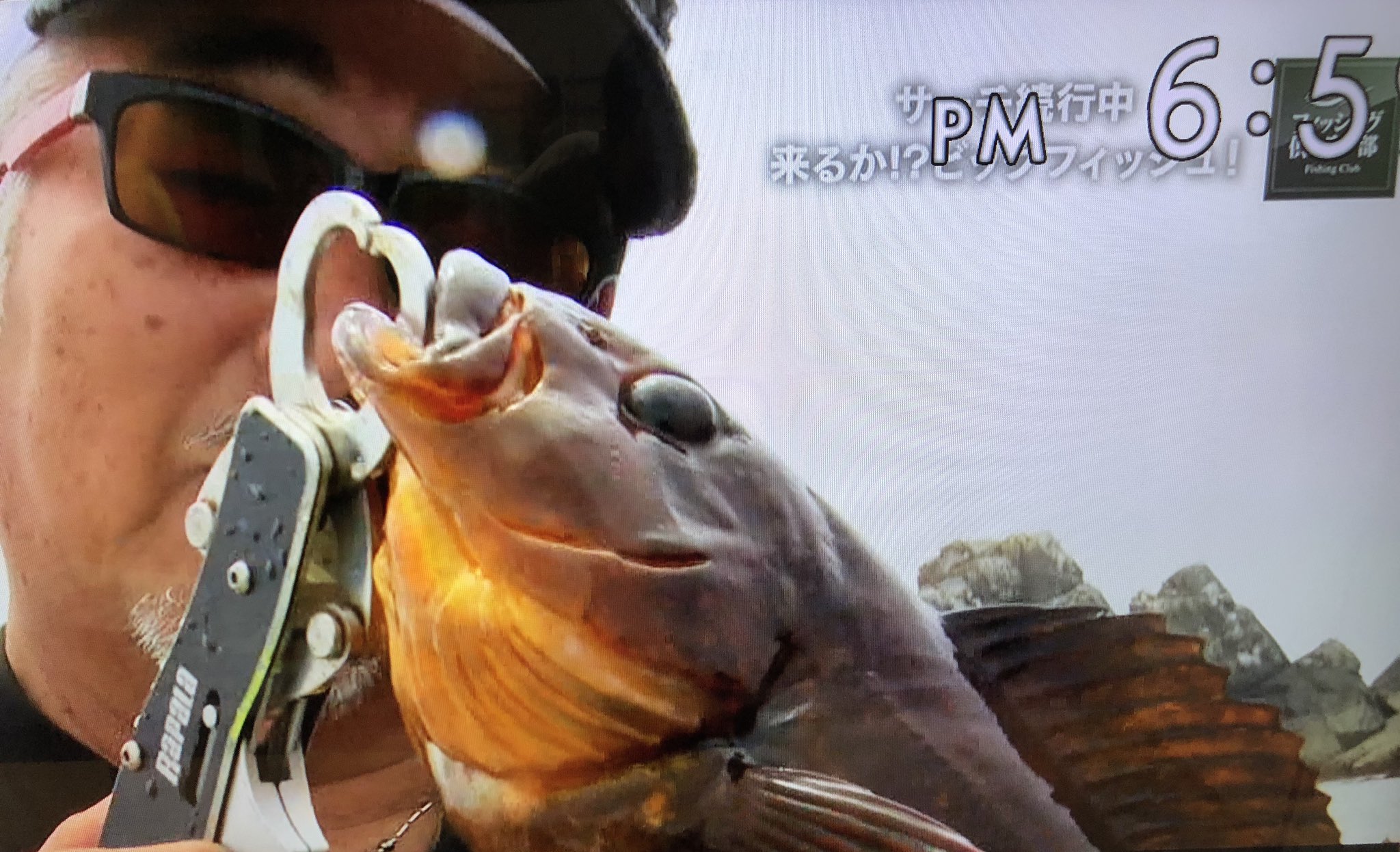 豆餅 フィッシング倶楽部の放送で思いっきり魚のアゴ貫通してる画をドヤってるんですが これ がまかつさんどうなんですかね Vol 541 真夏の牡鹿半島 ロックフィッシュゲーム フィッシュグリップ貫通 フィッシング倶楽部 T Co Ekd0vwonou 豆餅 フィッシング倶楽部の放送で思いっきり魚のアゴ貫通してる画をドヤってるんですが これ がまかつさんどうなんですかね Vol 541 真夏の牡鹿半島 ロックフィッシュゲーム フィッシュグリップ貫通 フィッシング倶楽部 T Co Ekd0vwonou