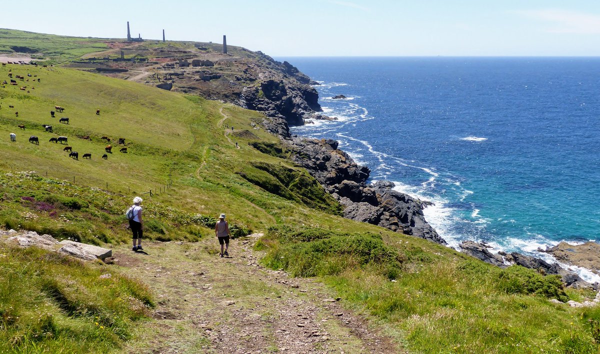 barrywills's tweet photo. If you like walking in amazing scenery check out MEI's favourite Cornish walks. https://t.co/UL6diTautm #PhysicalSeparation21 #IntegratedMinPro21 #Biomining21 #SustainableMinerals21 https://t.co/Q8HuOWfcR6