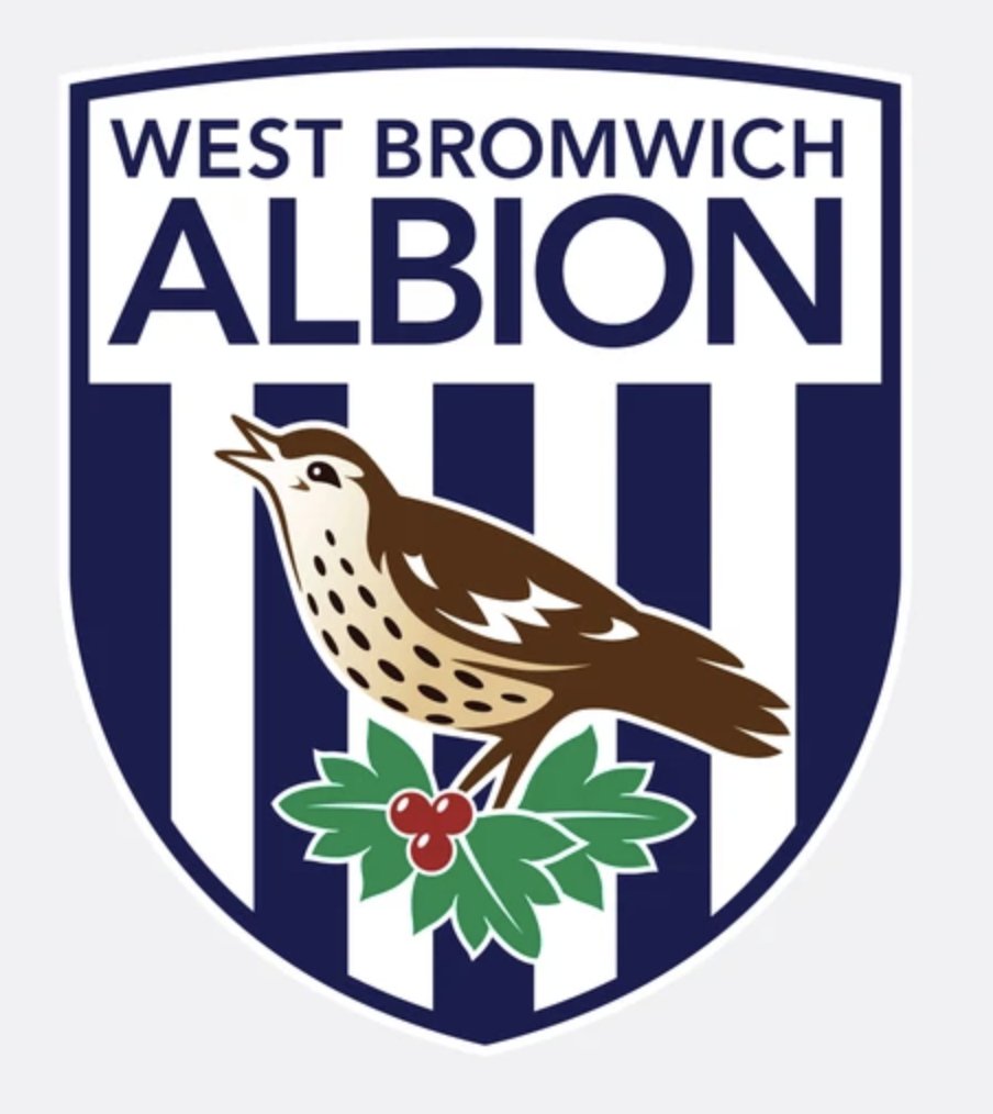 WEST BROM: ROCKET LEAGUEChaos and goals galore, but suspiciously lacking depth. Fun to watch though./18