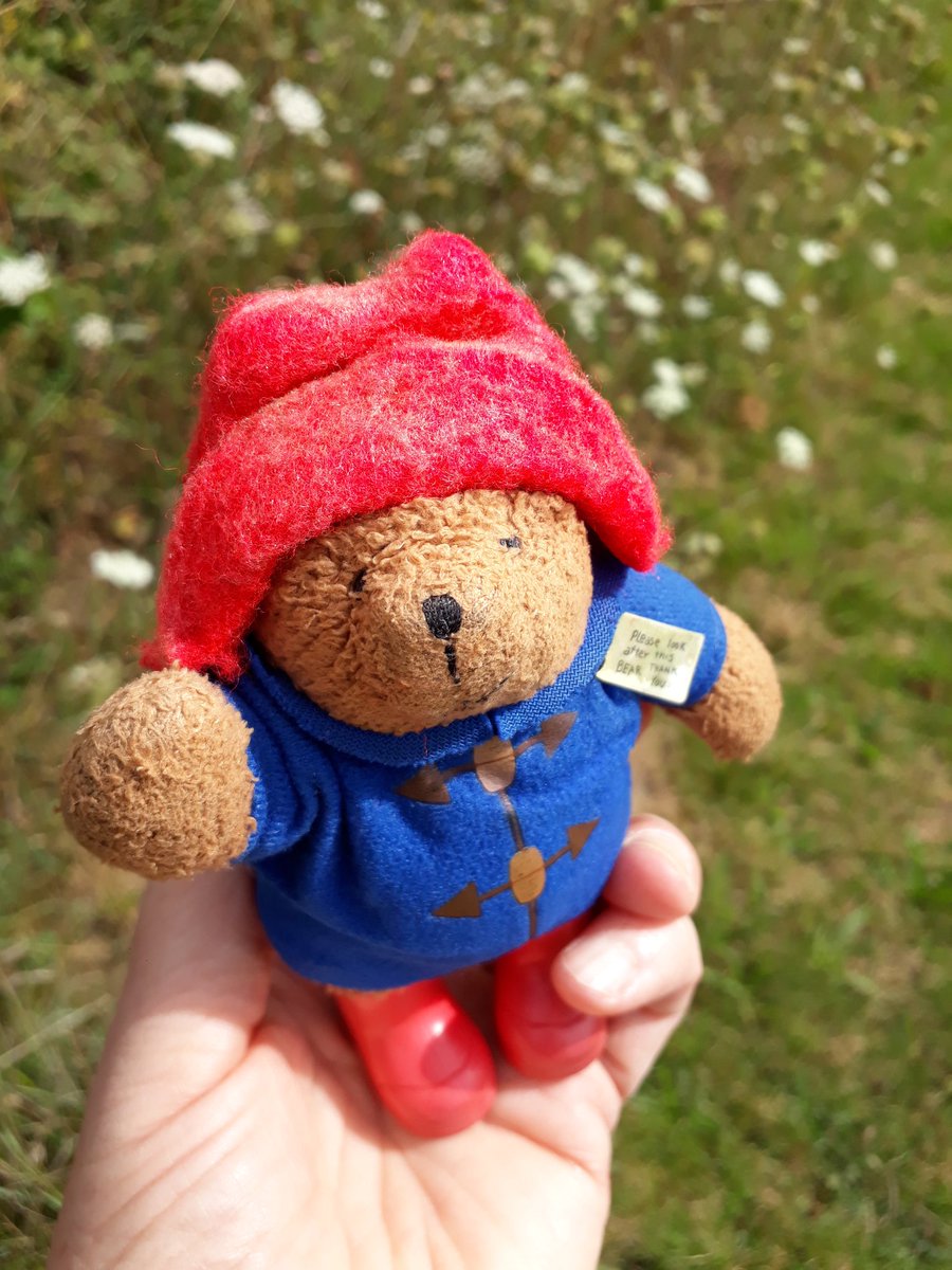 MrPB_Esq's tweet photo. ... We found some umbels and a meadow brown butterfly enjoying this special place too...
🐻❤🌱🦋
It's been a very wonderful little #GoWalkMrPB...🐾👣
(#MrPBsFirstSteps... #MrPBsNextSteps...) https://t.co/hKtEYMmv5L