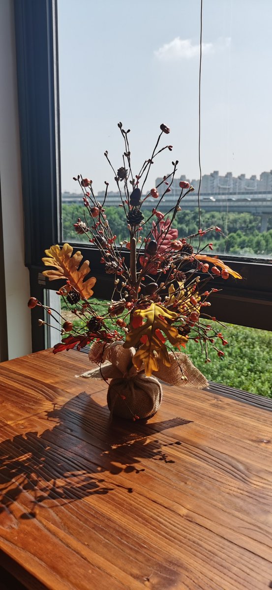 GlitzhomeCorp's tweet image. Full of artificial pumpkins, berries, pinecorn, maple leaves. Hope the table tree will bring you a good harvest this year.
glitzhome.com/glitzhome-20-h…
#tabledecor #tabletree #artificialtree