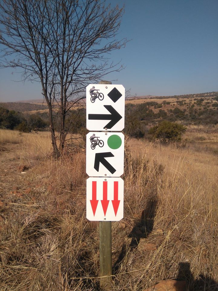 1/ 13 Benefits Of Trail Running
Improved Practical Endurance
While running on a treadmill keeps you working out on a flat, stable, consistent surface, trail running is variable. This is a great boost to your practical endurance and will work muscle groups