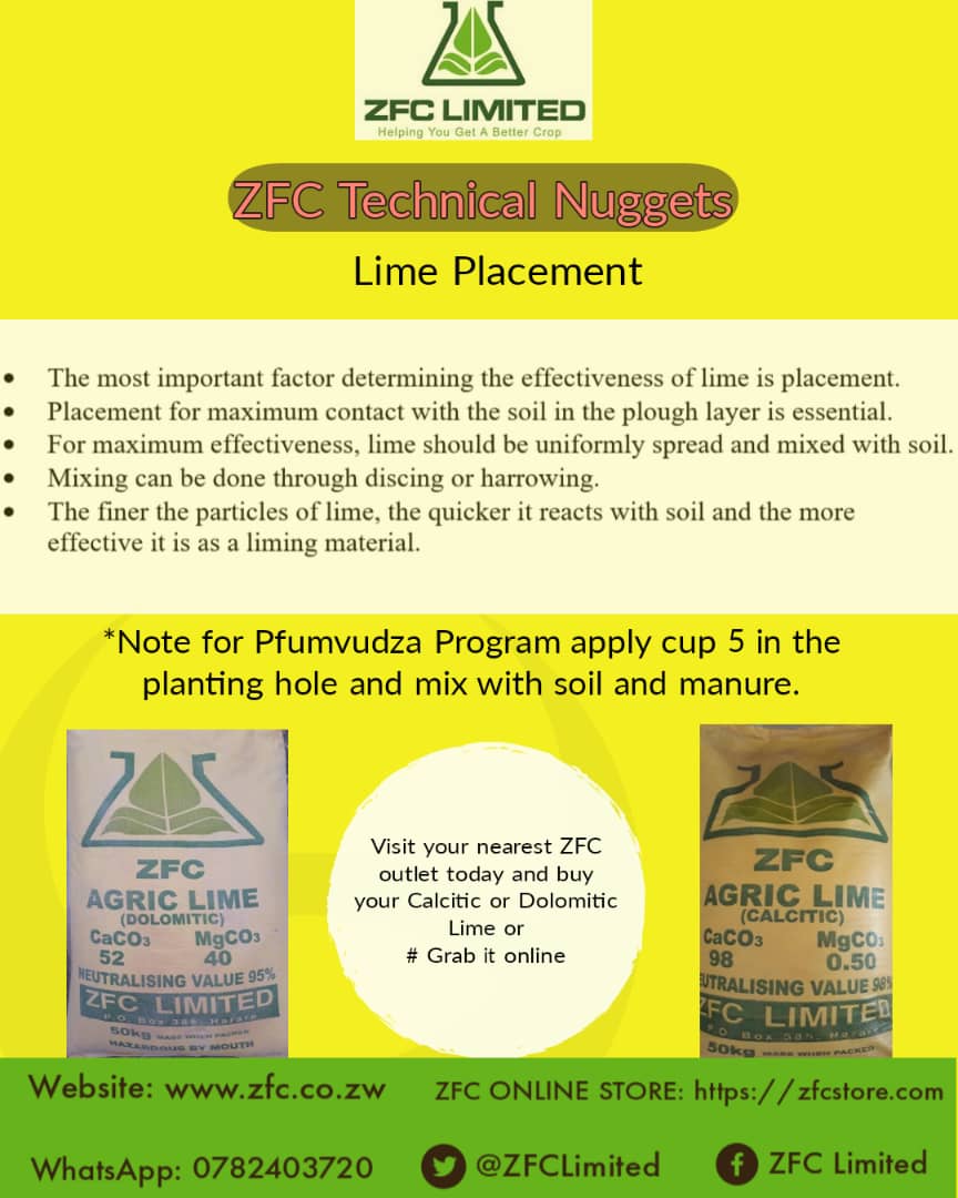 Maximum contact of lime with the soil is essential for neutralization of soil acidity.
# Pfumvudza 
# ZFC Helping you get a better crop 

Zfcstore.com