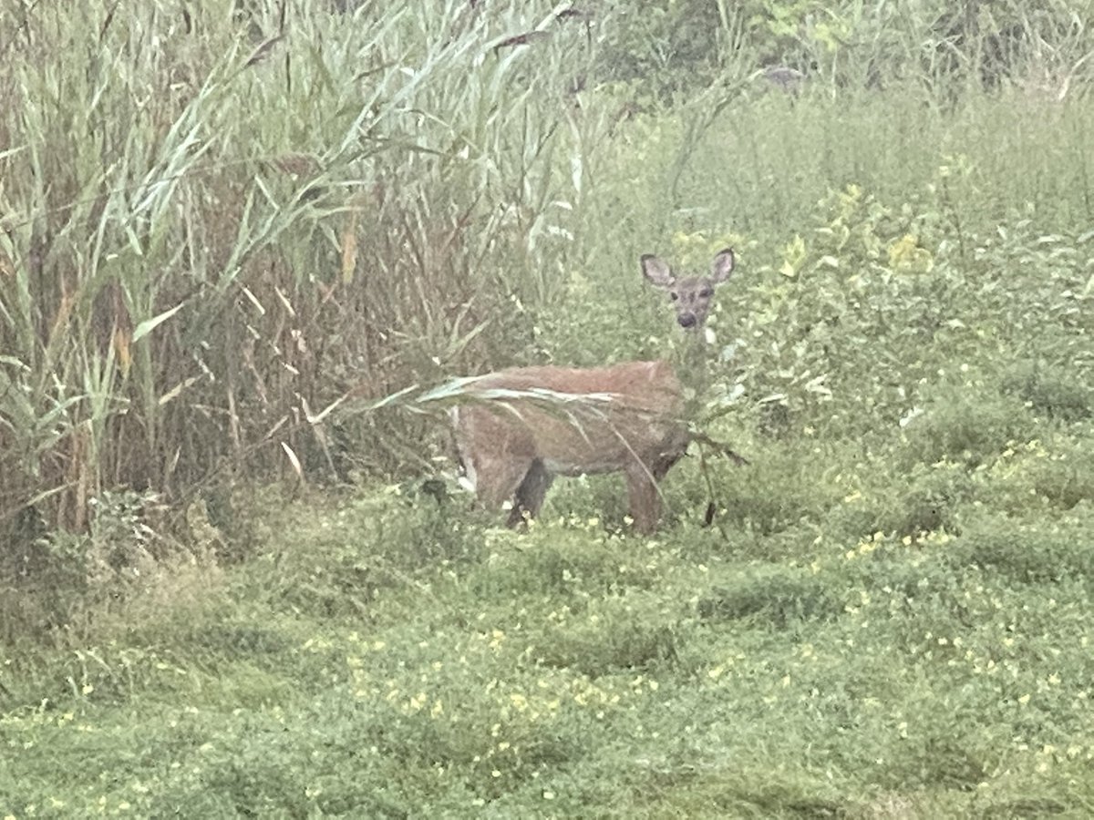 Rich Azzopardi (@richazzopardi) on Twitter photo 