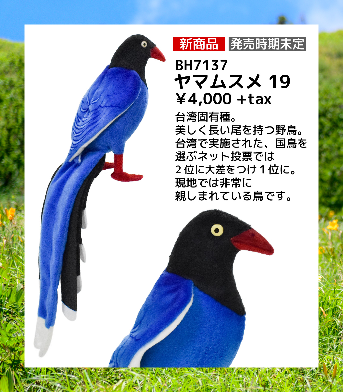 山娘 Twitter Search Twitter