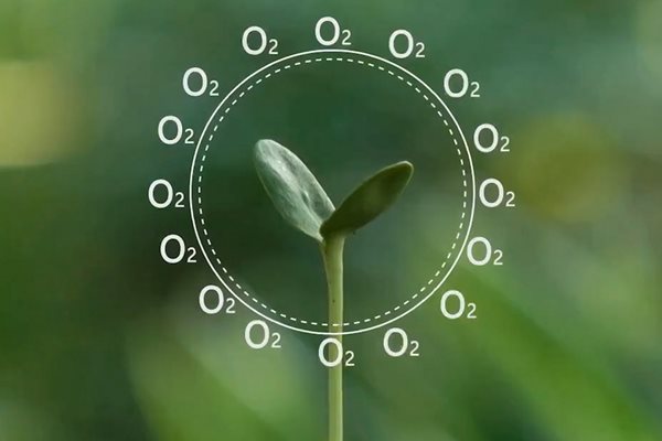 CANorthld's tweet image. The latest CAN Enews is out now with info on grants for community buildings, reopening village halls updates and how to claim a free tree if you live in #Northumberland
ow.ly/PCkD50B7a7v
#ruralcommunities