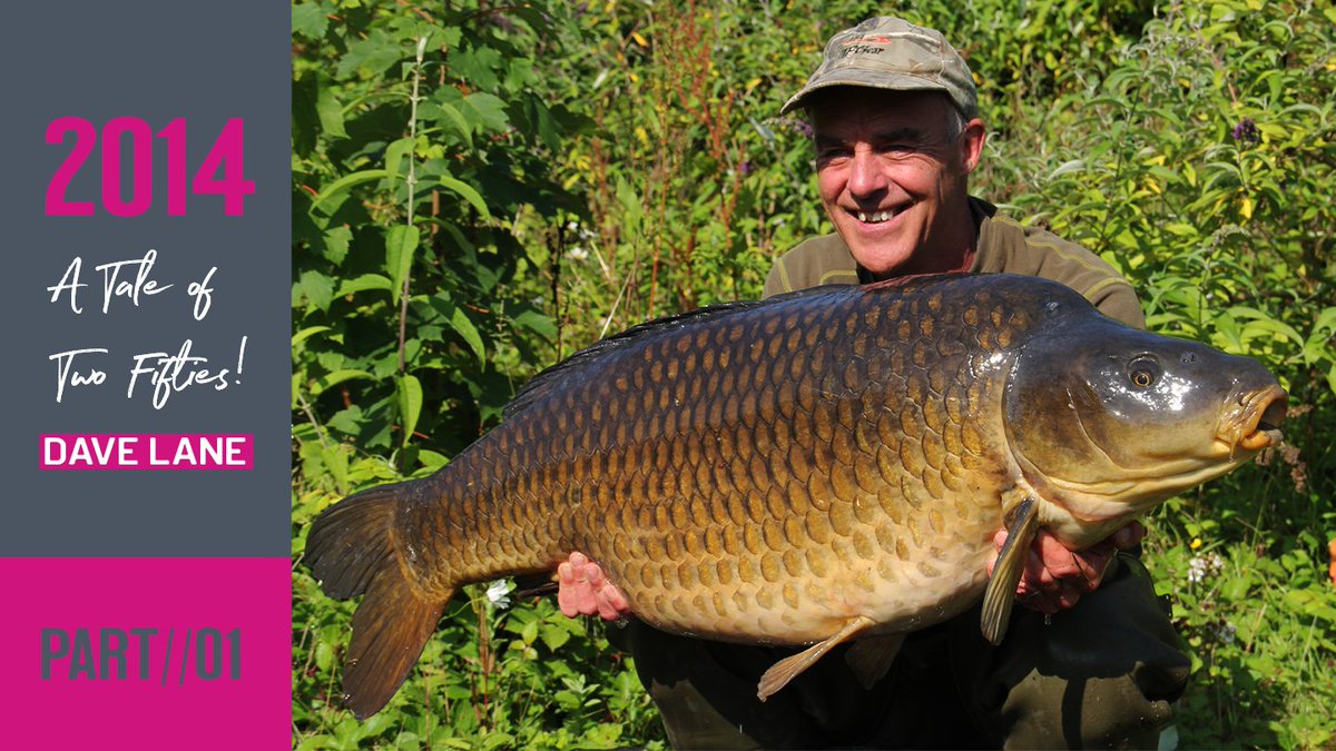 TUBE TUESDAY!!!

Mainline carper, Dave Lane recalls one of his most memorable years fishing to date - 2014 where success at Burghfield leads to a very special birthday session at Northy Park...

youtube.com/watch?v=n0Mi6B…

#MainlineBaits
