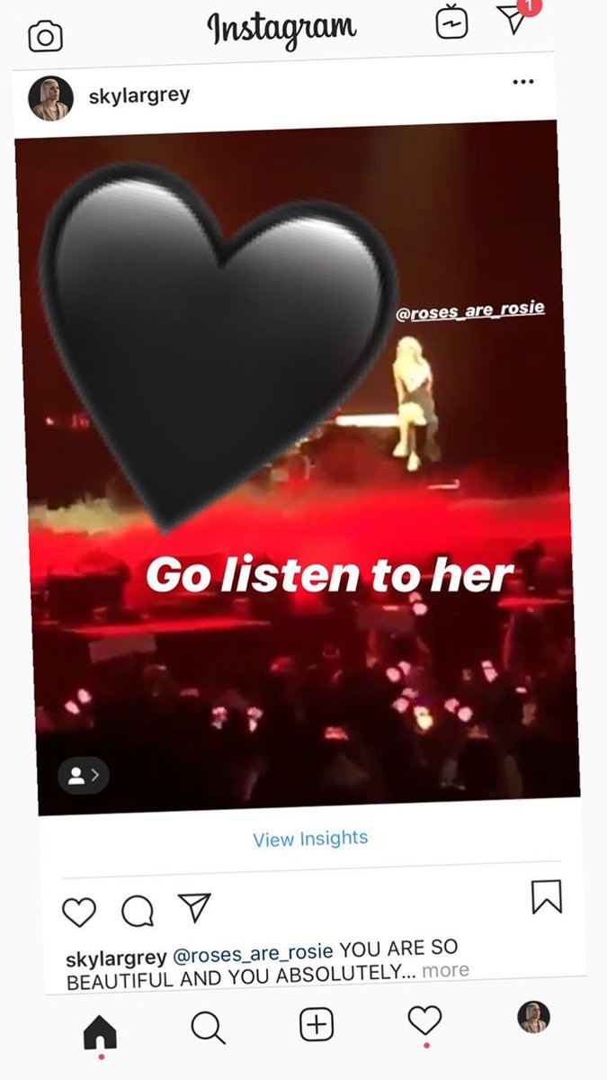 rosé covered skylar grey's "coming home" at a concert and skylar posted it on her instagram."F*ck double platinum this is the real award... next time lets do a duet"