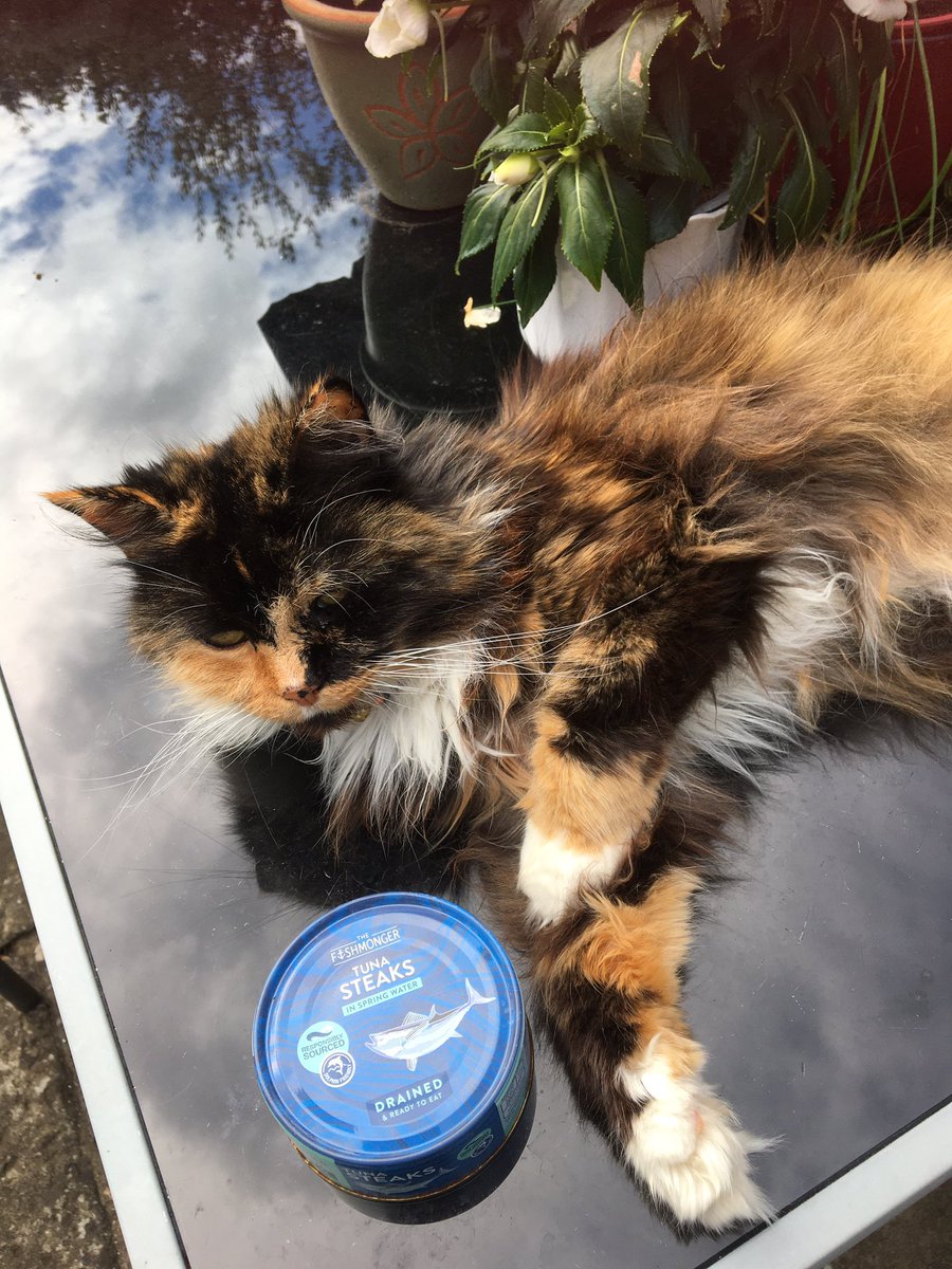 Angela Morgan tweet media