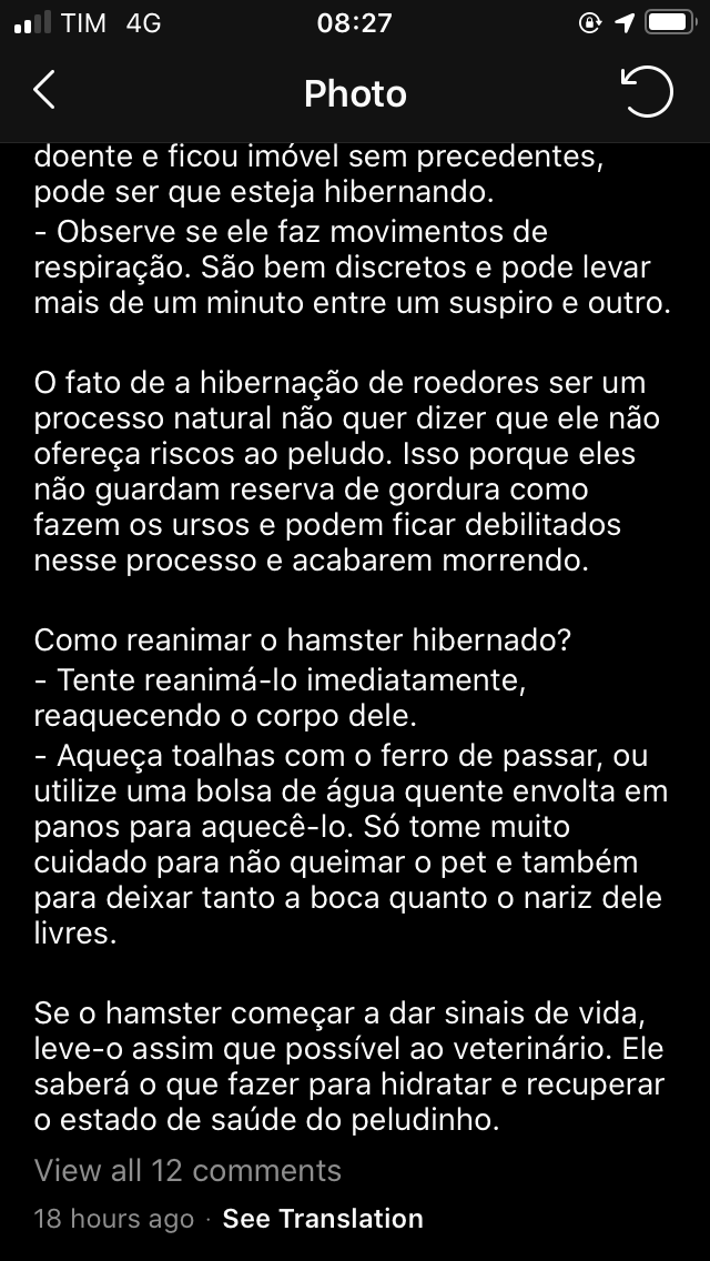deem rt namoral eu quase dei fim no meu hamster sem saber disso