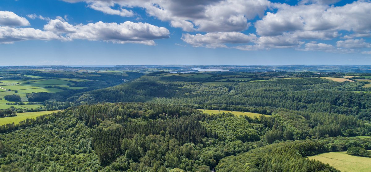 NatLandAssoc's tweet image. We're recruiting! An exciting opportunity to join a lovely team and make a genuine difference for people and nature at a critical moment. Could you be our new National Landscapes Recovery Coordinator? 
landscapesforlife.org.uk/about-us/get-i…