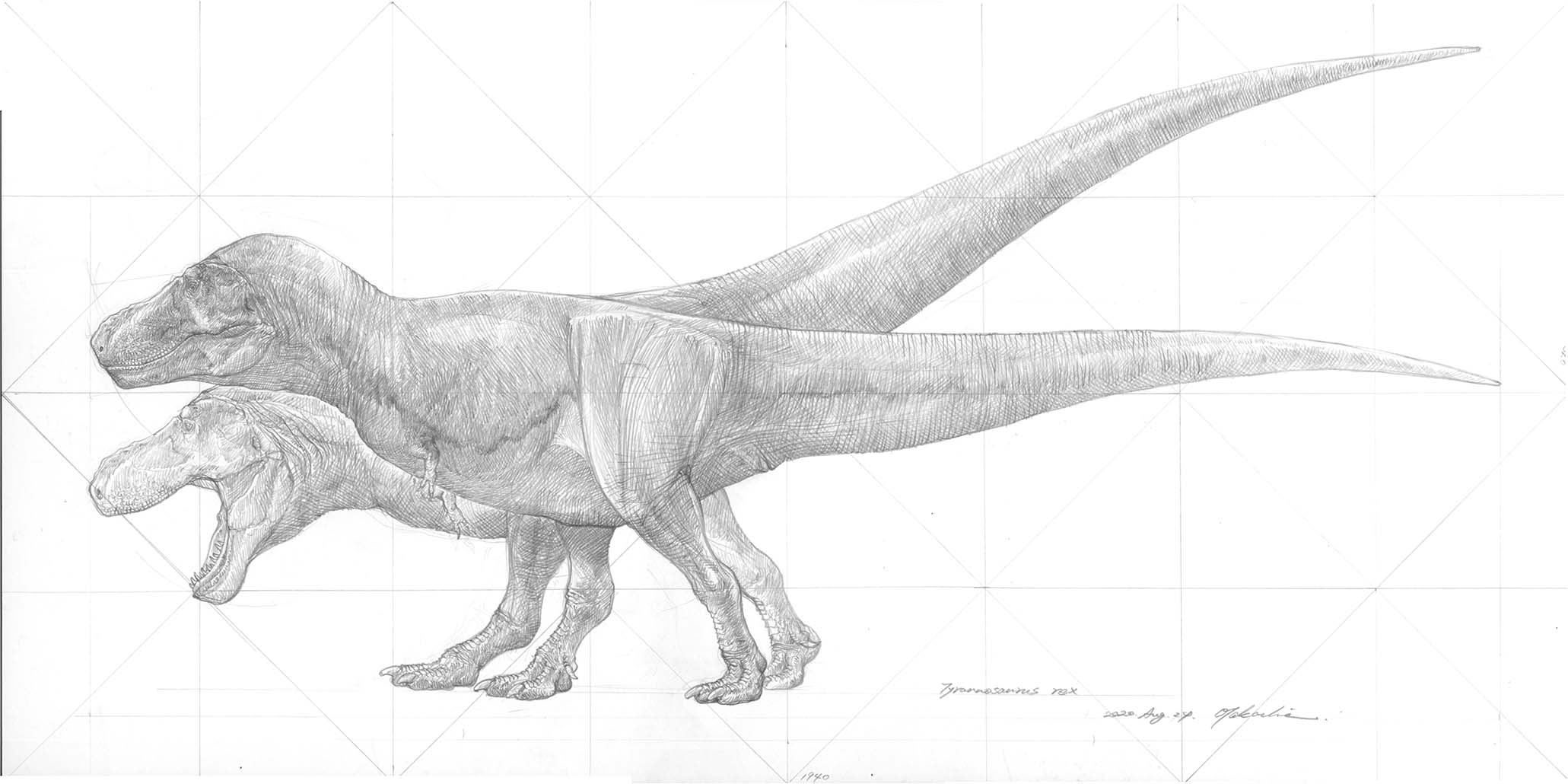 Tried drawing a tyrannosaurus dinosaur with acrylic gouache