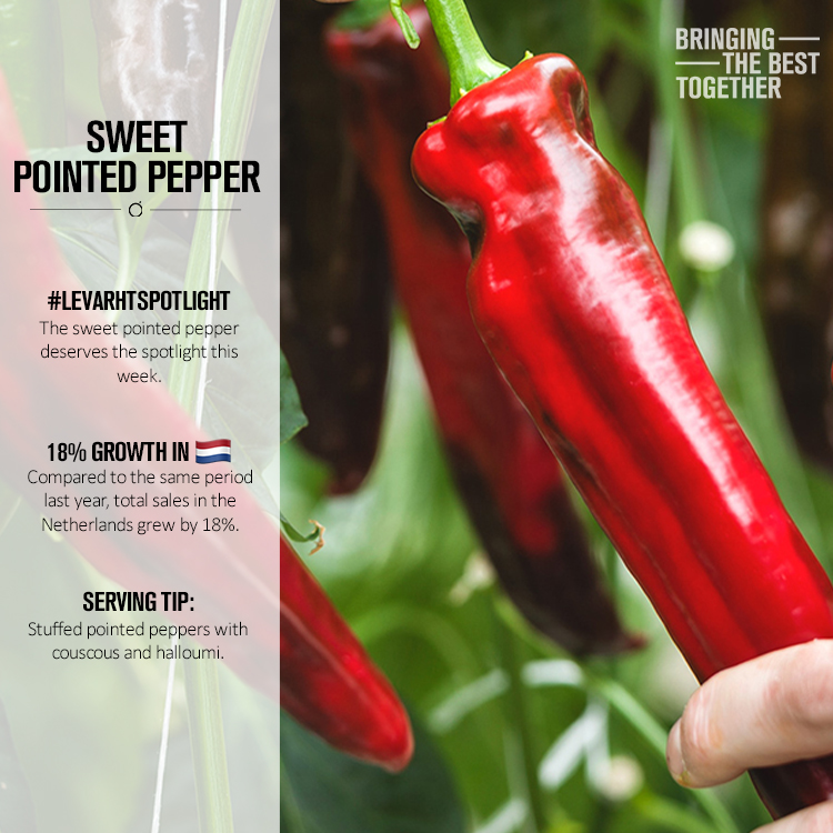 The pointed pepper has become an indispensable part of the fruit- and veg shelf in the supermarkets. If we look at the Dutch market, we see that the pointed pepper is growing in popularity. Compared to the same period last year, total sales in NL grew by 18%. #Levarhtspotlight