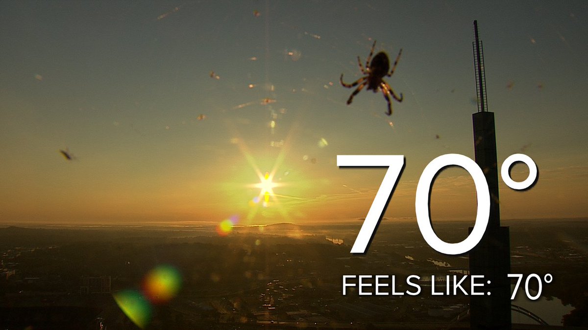 NC5_LelanStatom's tweet photo. All God's creatures LOVE to watch sunrise! This spider has an awesome view from our #Skycam on the #attTower in #Nashville. (BTW: @NC5_HMathis named it Walter). FYI: #sunrise: 6:13a CDT #sunset: 7:25p CDT #batmanbuilding #Storm5Weather #tnwx https://t.co/ty8ApyRbjI
