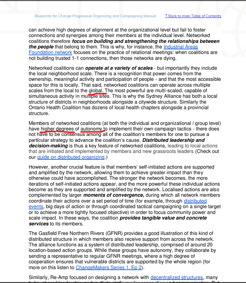 Democrat networked coalitions can operate across multiple scales from the local to the global level. The most powerful are multi-scaled, capable of simultaneous activity in multiple sites. These members have higher degrees of autonomy.