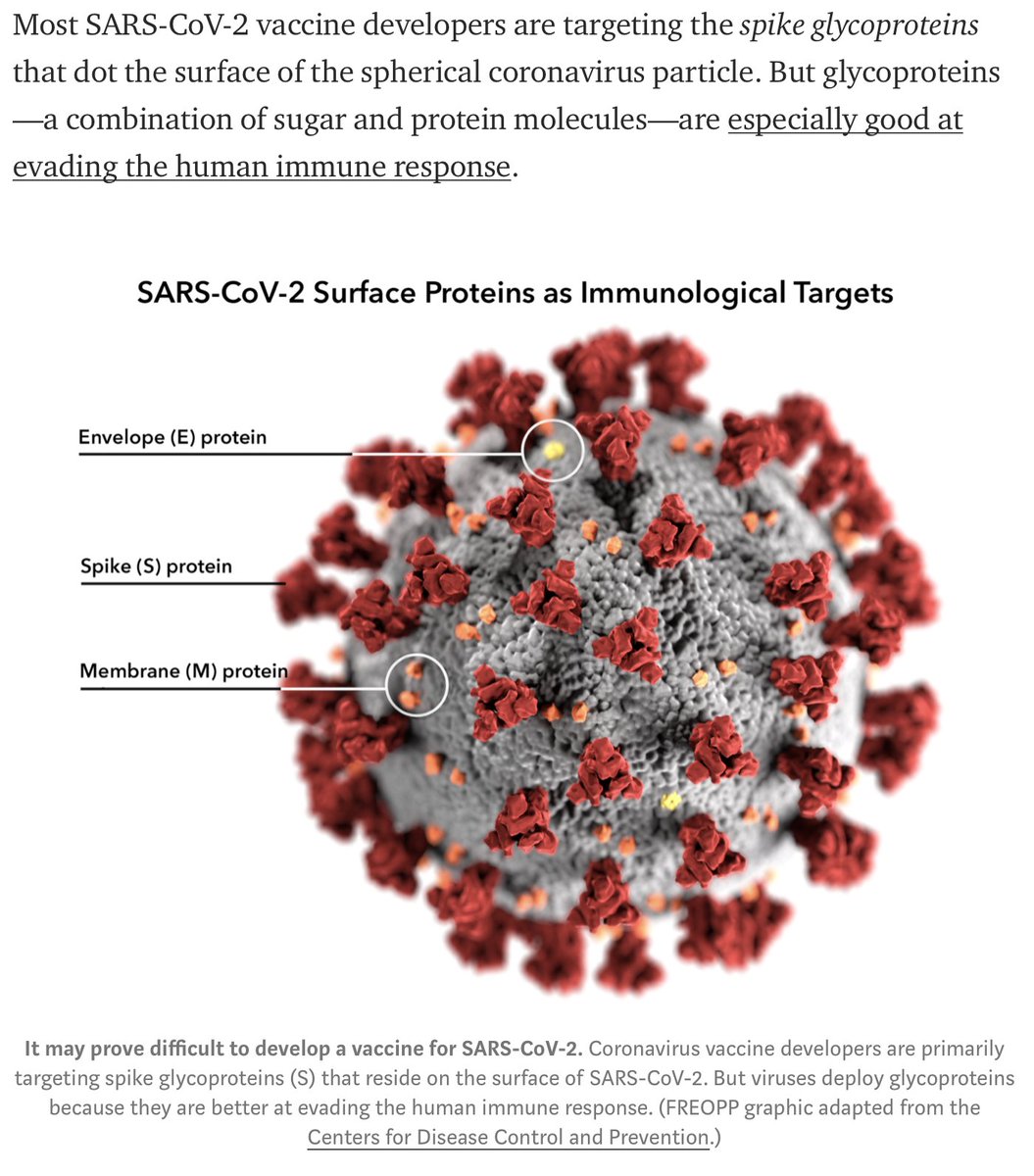 As we explain, "most SARS-CoV-2 vaccine developers are targeting the spike glycoproteins that dot the surface of the spherical coronavirus particle. But glycoproteins—a combination of sugar and protein molecules—are especially good at evading the human immune response."