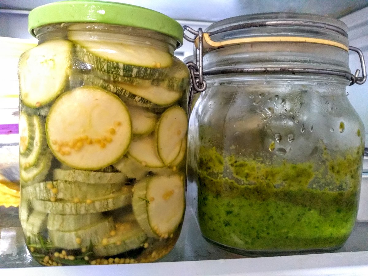 So I guess what this pesto, these pickles, and this focaccia are trying to tell you is that we probably worry way too much.Give things space and the basic requirements of life, and they'll be okay.Sort of like us. /