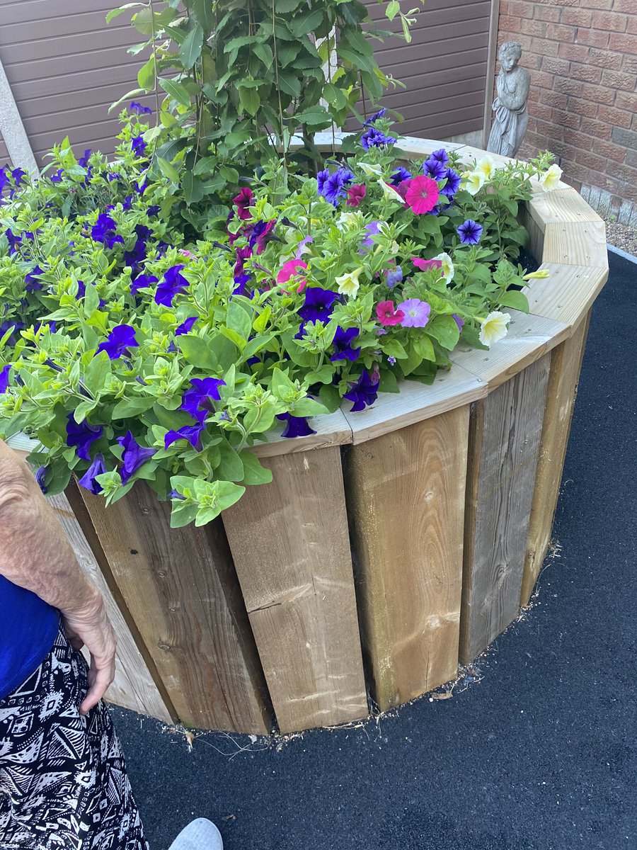 AmberWardNotts's tweet photo. The patients of amber wards have been out this mornings checking on our tomato plant. #nottshc #nhs #milbrook #amberward https://t.co/os46oIXPPO