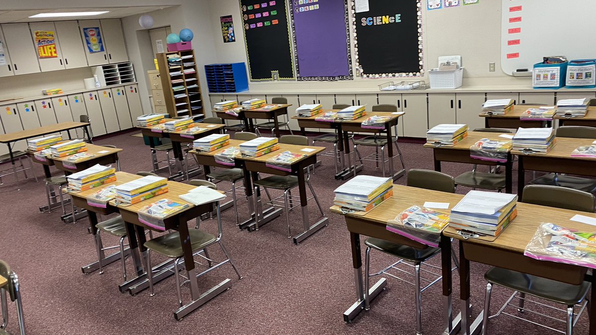 Danielle Carroll tweet media