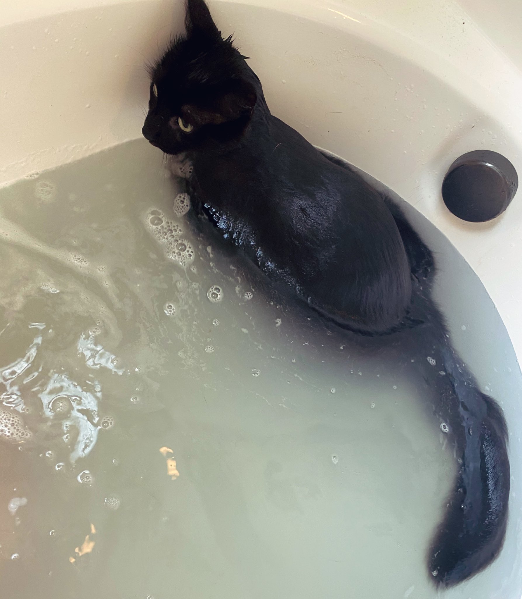 The Shocking Truth Behind The Meowri Leaks - hd251v0