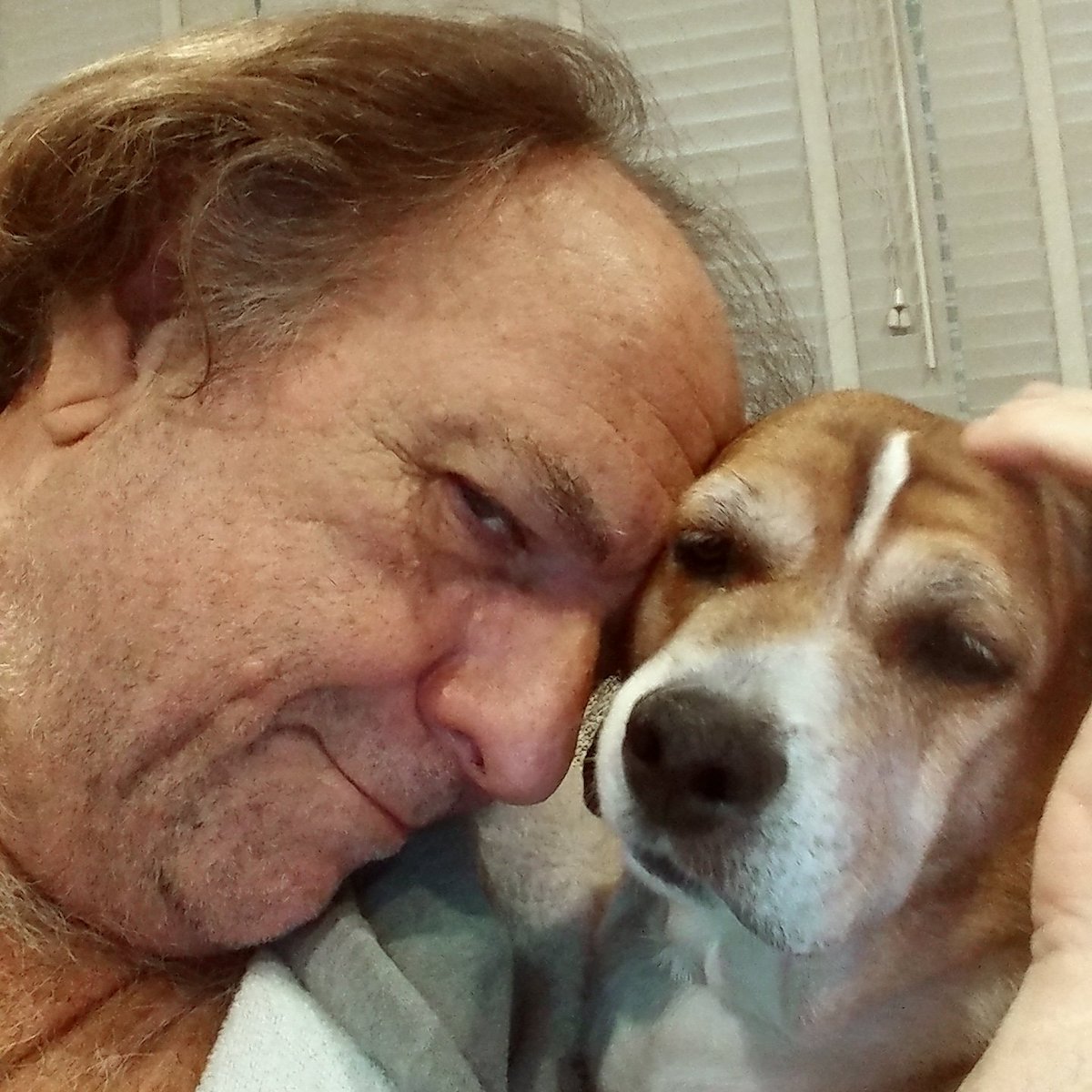 wessmo's tweet image. I love my therapy dog. She loves bologna, and me.