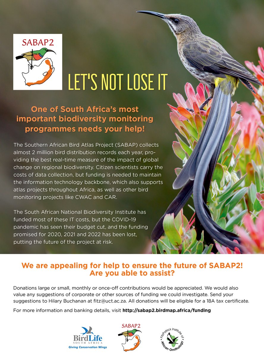 SABAP2, which I believe is South Africa's most important biodiversity monitoring project, needs support. Please help! <a href="/SA_birdatlas/">South African Bird Atlas</a> <a href="/SANBI_ZA/">SA Biodiversity</a> <a href="/environmentza/">Environmentza</a> <a href="/Fitztitute/">FitzPatrick Ins</a> <a href="/BirdLife_SA/">BirdLife South Africa 🇿🇦</a>