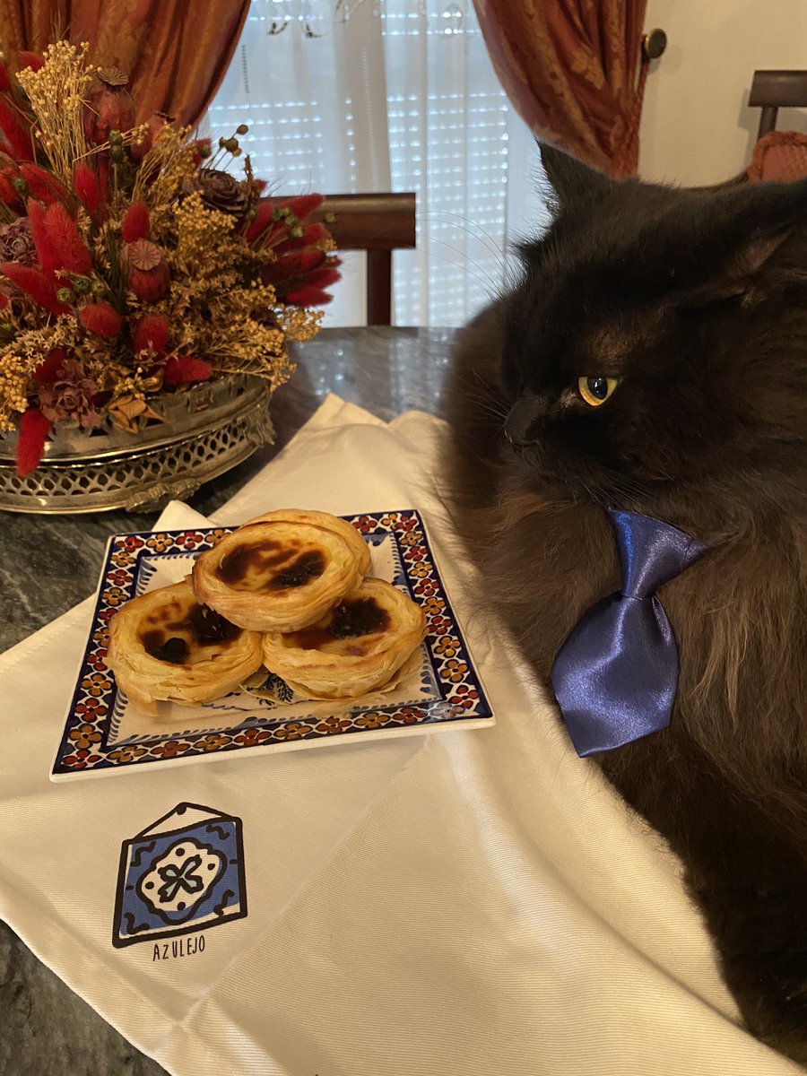 meow_london's tweet photo. Pastel de Nata!
#pasteldenata #custardtart #catlife #portuguesepastry #gato #docariaportuguesa #forbidenfood #catdrama #petsastherapy #patcatdiary https://t.co/DnJd5EQJaK