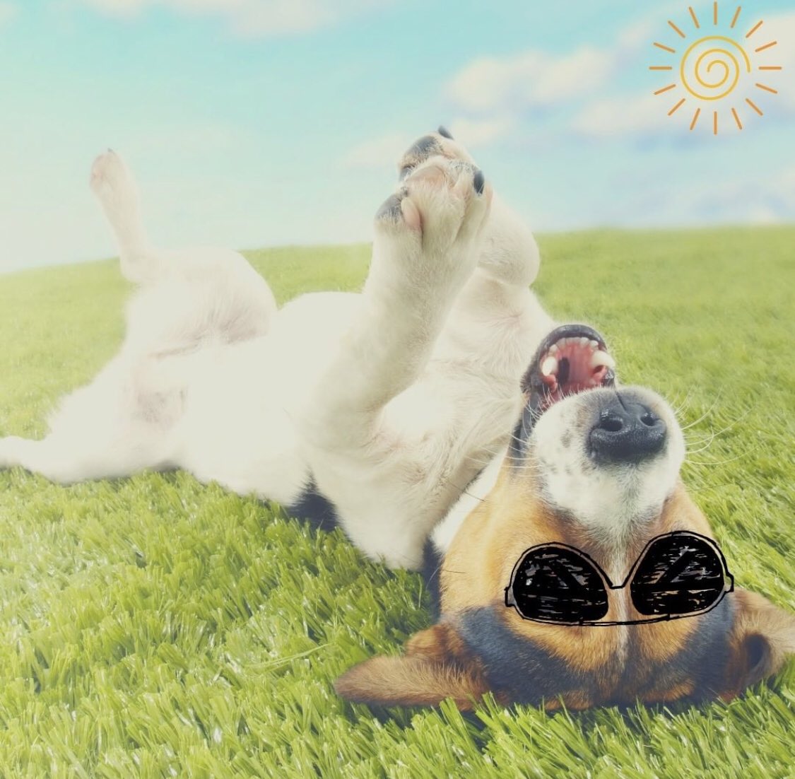 We hit 40,000 dogs served at our Craft &amp; Crew dog friendly locations!! Celebrate with us! Aug. 24th - Sept. 30th

Free Dog Bandanas

Castle Danger Summer Crush on Tap

Titos Lavender Lemonade
Enter To Win A Painting Of Your Dog On Our Mural - ask your server for a punch card