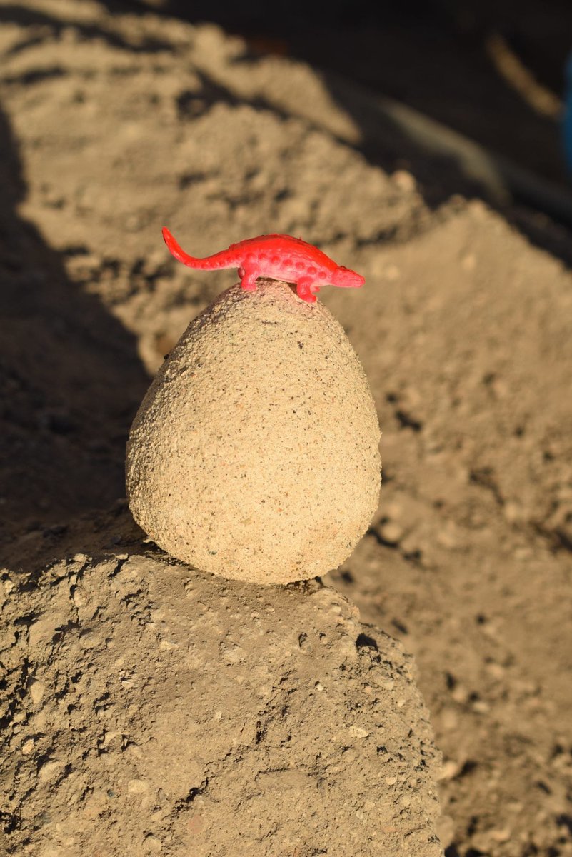 In our house, Homemade Dinosaur Eggs have become life. These are the best thing for toddler boys who love dinosaurs!! 🦖
https://t.co/sL8KSeUmRr
#activity #boredombuster #cousincamp #covidactivity #craft #dinosaureggtutorial, #dinosaureggs, #diy, #diydinosaureggs, #diykidcraft https://t.co/LFtDAjCKZU