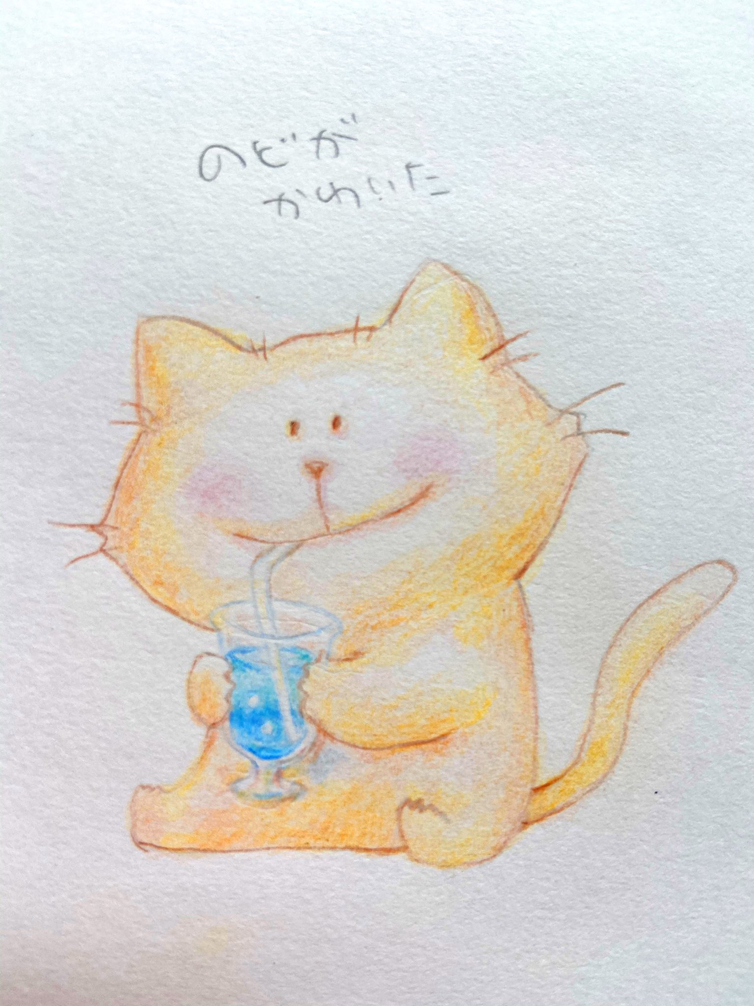 Hanarium 水分補給わすれずにね イラスト 色鉛筆 ねこ ゆるいイラスト T Co Vlg85vy0do Twitter