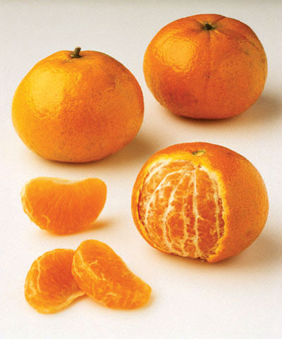 Mandarina MontenegrinaSus hojas liberan el mismo aroma a la mandarina criolla. Es generalmente más pequeña del tamaño normal.Su cáscara es muy fina y muy fácil de pelar.Tiene un sabor suave