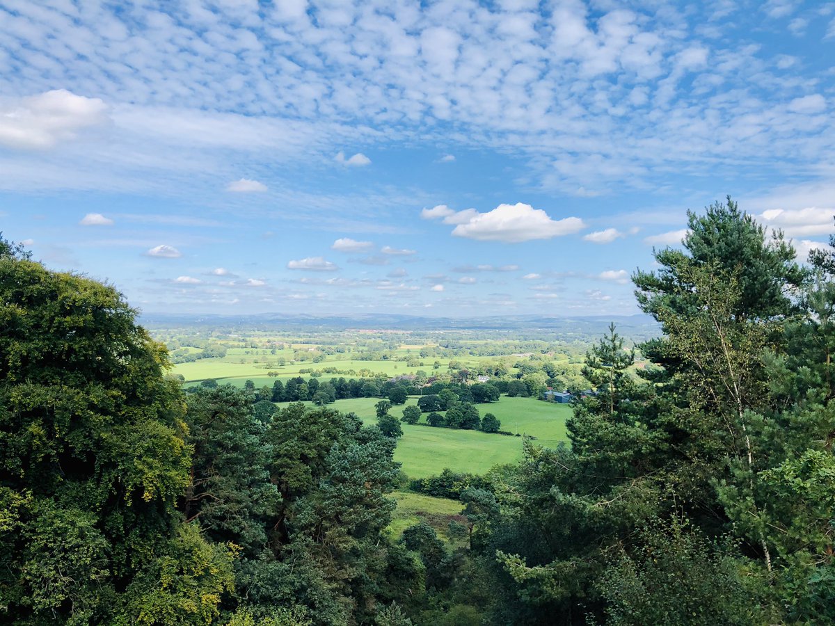 Paul Thorn tweet media