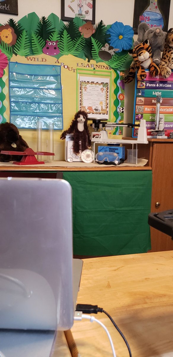 JosieGarciaJGa1's tweet photo. Excited to start our new school year 2020-2021. Bonham Beagles are ready! #Boham #Bonhamlibrary 🐾📚💻✏🥽🥼🔎 https://t.co/xmOUoSWbCm