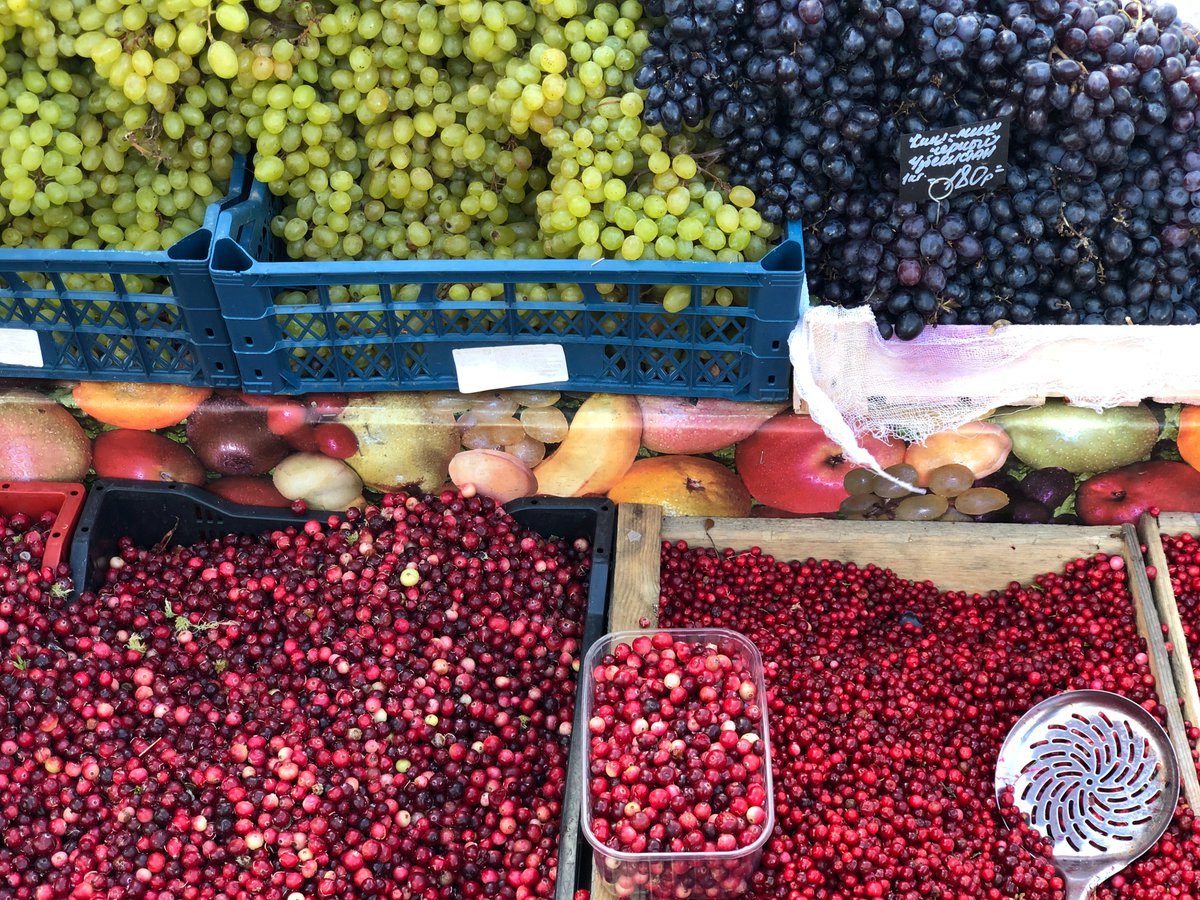 🍇Our latest blog post by <a href="/Synelixis/">Synelixis Solutions</a> explores how #blockchains can be of assistance in the Food Supply Chain during a #pandemic and in what way <a href="/EU_Sofie/">SOFIE</a> comes to the rescue! 
Read it here 👉 bit.ly/2QgLC7c 

#COVID19 #Food #SupplyChain  #ethereum