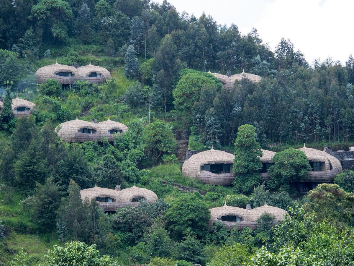 AfricaFactsZone's tweet photo. Bisate Lodge in Ruhengeri, Rwanda. https://t.co/DGFielAZNF