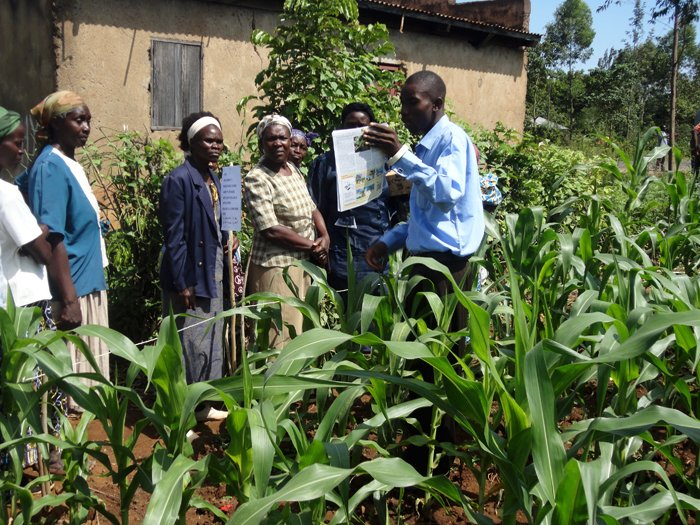 Rural Outreach Africa (ROA) tweet media