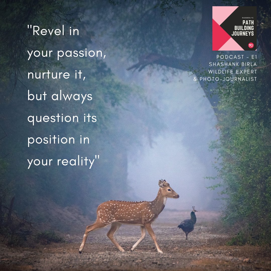 RudderlyCareers's tweet photo. Are you a #wildlife shutterbug? Wondered about converting your #passion into a viable #career? 
Learn from someone who's been there, done that!
The #podcast podcast will take you through Shashank Birla's journey  , as he #navigated his life from #business to #Naturalist. https://t.co/DenYCVIs43