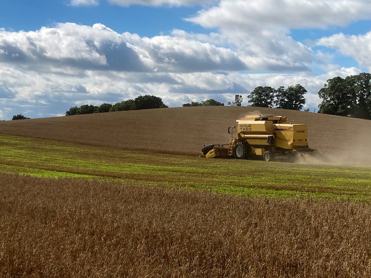 GreenAcres_Farm's tweet photo. Early start today for our assault on Amber Hill! #oats #organic #undersown https://t.co/fa7iKrQEbj