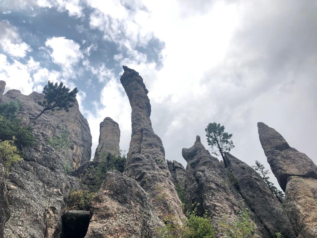 Étonnant d’être aussi renfermés, quand votre situation dépend des visites des autres. Mais forcément, le Mont Rushmore vaut le coup. Tout comme le Custer State Park et ses fameuses « needles », impressionnantes (on passera sur l’héritage controversé du général Custer).