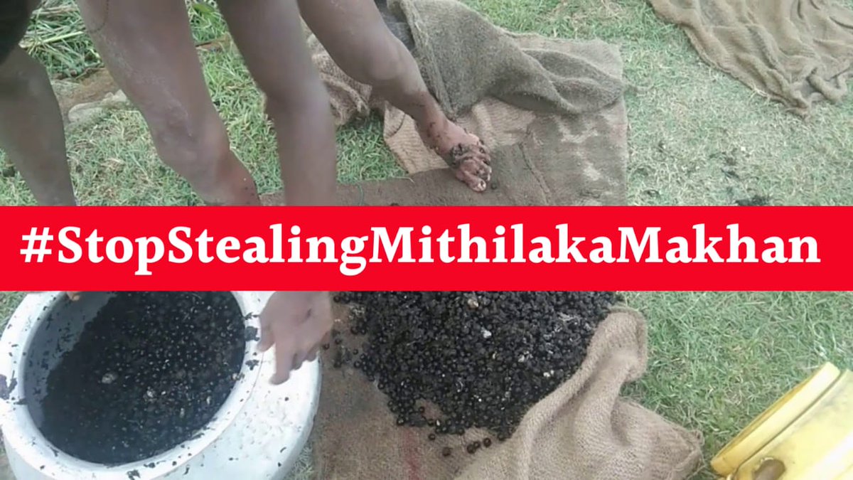 AdityaJhamohan's tweet photo. In view of promoting the local, it says ‘Local Being Vocal’.  It's good to see that the government is focusing on Makhana and GI tag for it. As Makhan is Local Production in the majority of the Mithila region so GI tag should be “Mithila Makahan”

   #StopStealingMithilaKaMakhan https://t.co/7eRwyrvOR6