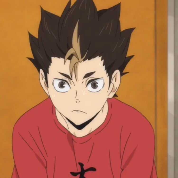 nishinoya as a cat; a thread for an instant serotonin boost