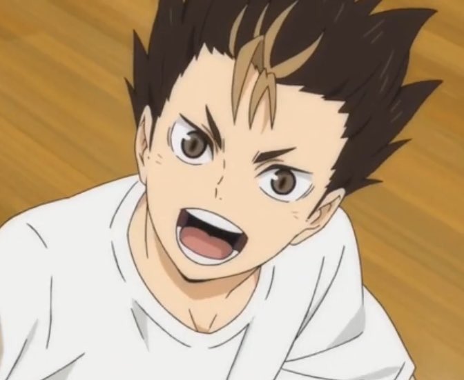 nishinoya as a cat; a thread for an instant serotonin boost