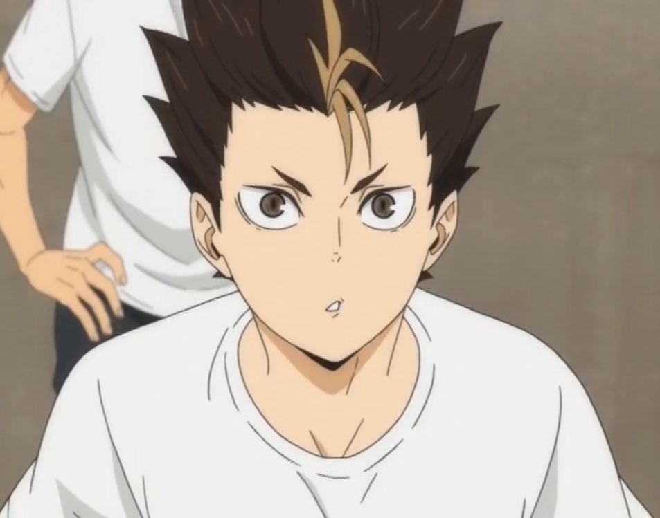 nishinoya as a cat; a thread for an instant serotonin boost