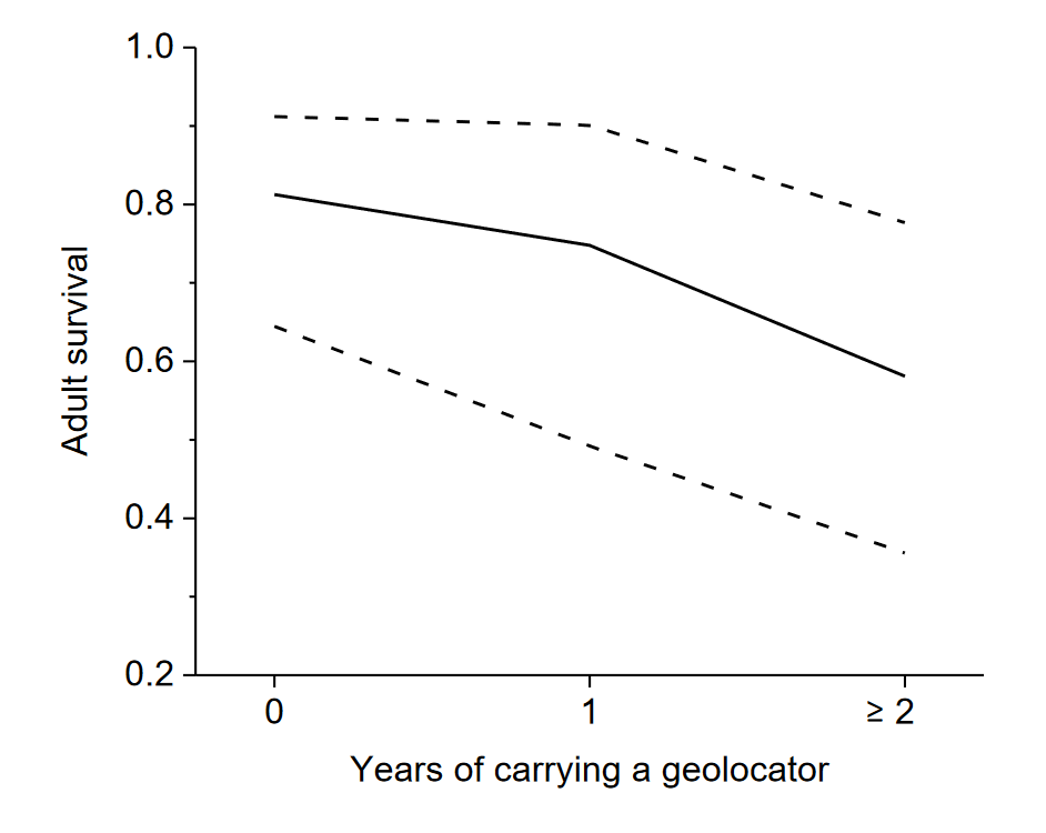 AvianBiology's tweet photo. Pakanen et al. (2020): Survival probability in a small shorebird decreases with the time an individual carries a tracking device

https://t.co/5YzSpBAkQB
@wileyecology @NordicOikos #ornithology #wader #migration #dunlin #captureRecapture #geolocator https://t.co/440LnmftFk