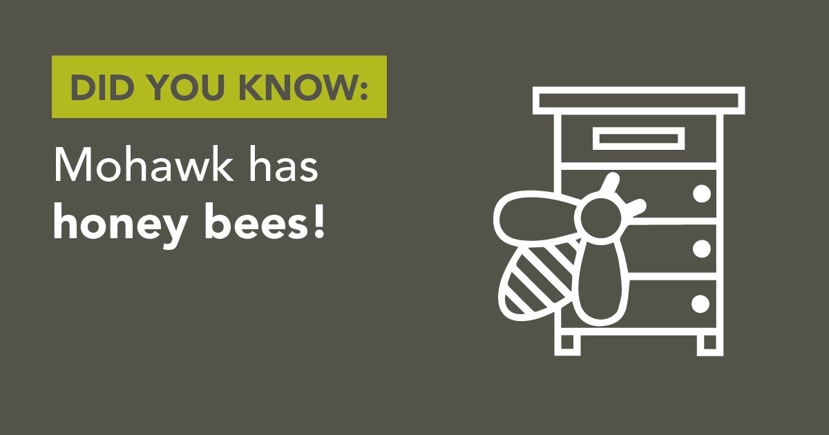 Mohawk Sustainability tweet media