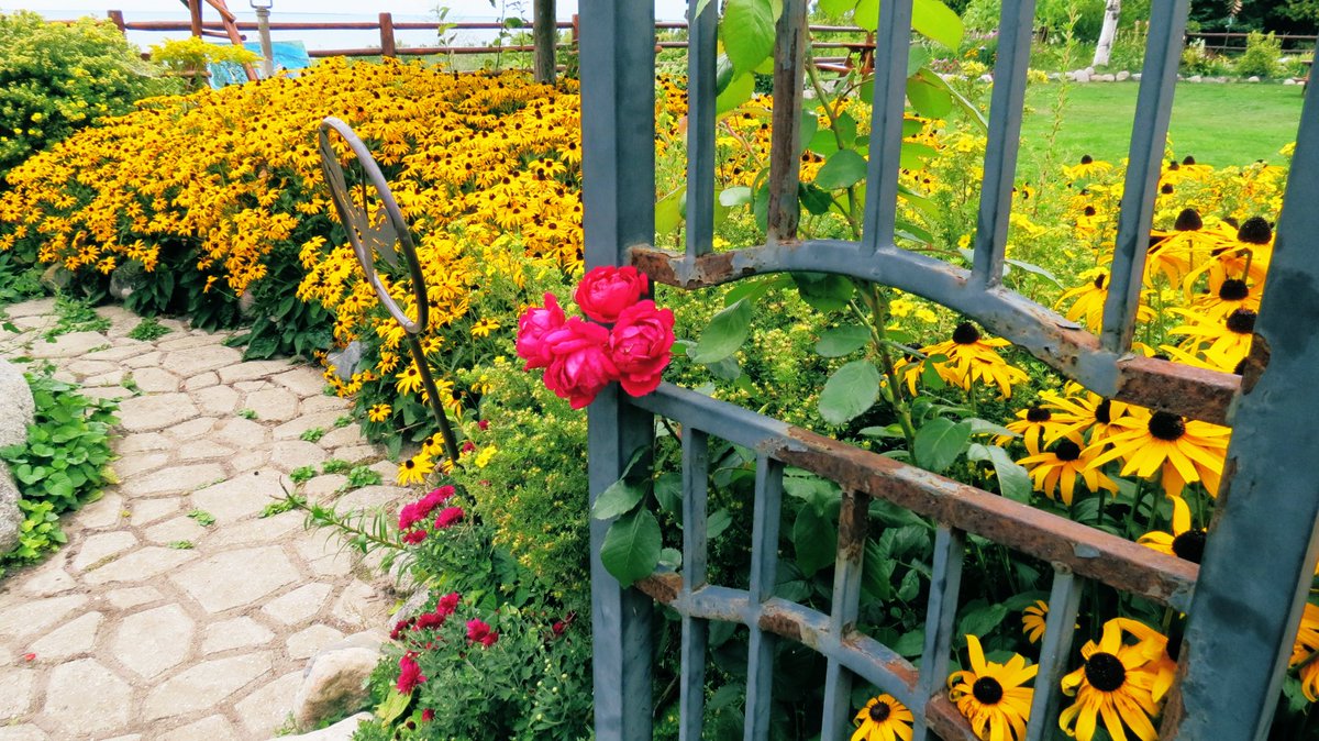 MitchandMarcy's tweet photo. @DailyPicTheme This #gate leads the way to #LegsInn #garden and cafe; overlooking #LakeMichigan, only steps away.
🌼📸#mitchandmarcyphotos
#PureMichigan #OnePureMichigan
@StormHour #ThePhotoHour @LensAreLive #CrossVillage @DailyPicTheme #UpNorth https://t.co/uGDE9vxHpE