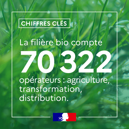 Avec 2,3 millions d’hectares cultivés en bio et un marché de près de 12 milliards d’euros, la France 🇫🇷 se positionne en deuxième position au niveau européen
Toutes les infos 👉 agriculture.gouv.fr/agriculture-bi…
