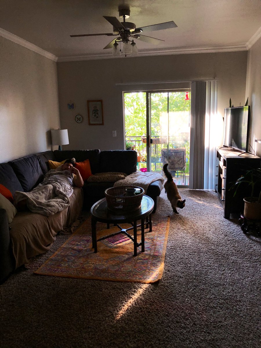 darrahkb's tweet photo. our first day in our apartment vs now ☺️ https://t.co/vNkRtUf26Z