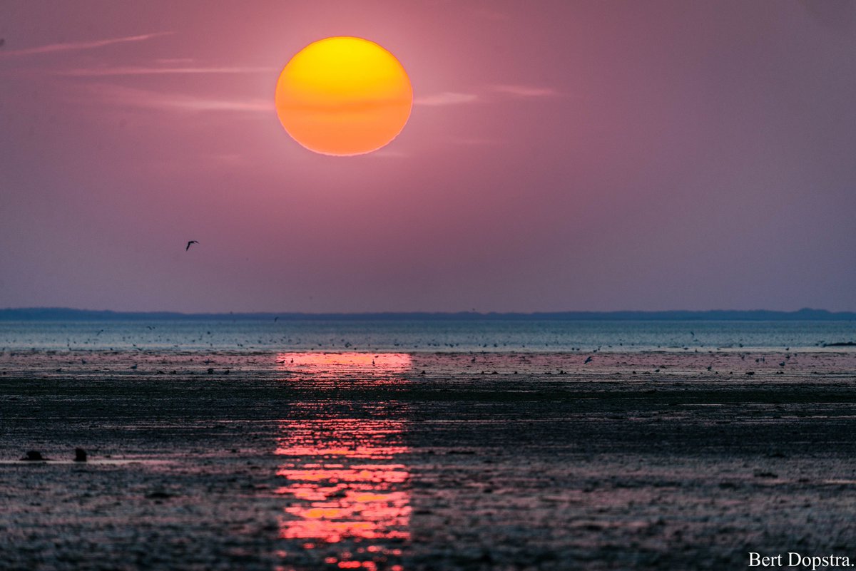 BertDopstra's tweet photo. A special sunset. https://t.co/BGqL3p1BcU