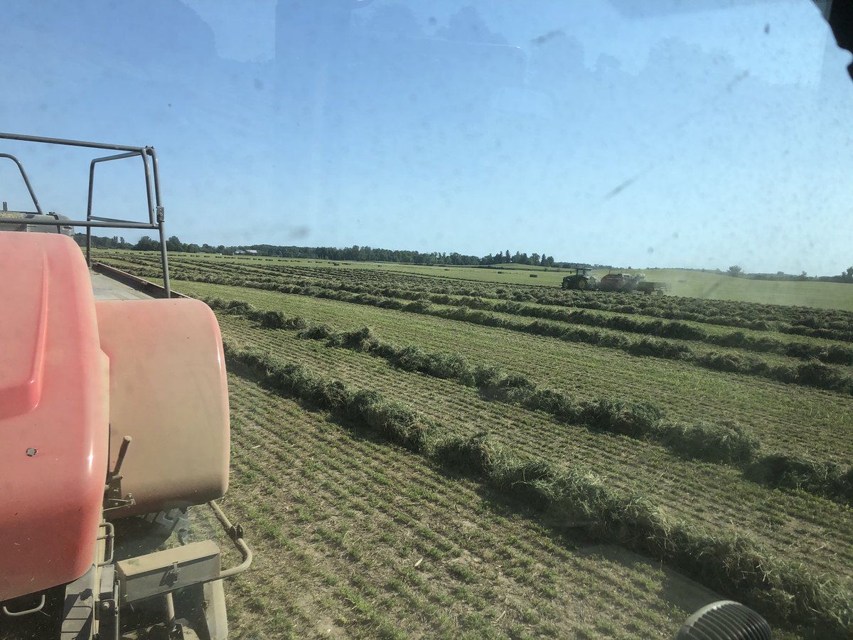 mbf_robert's tweet photo. Finished up 3rd cut on the weekend, thanks for the great service @NuhnForage and Hyde Brothers https://t.co/vkzNyYGzLu